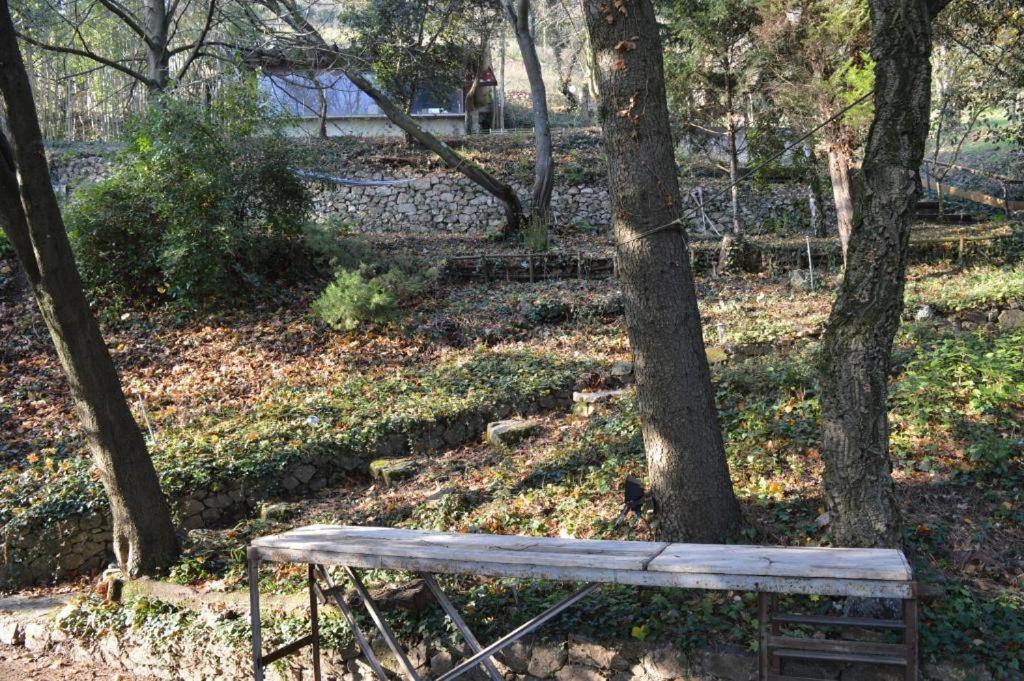 공용 라운지/TV 시청 구역