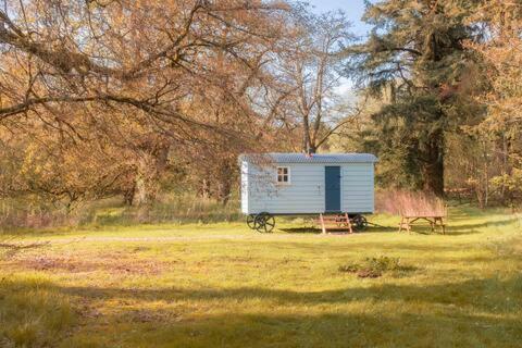 Bamff Ecotourism photo 3