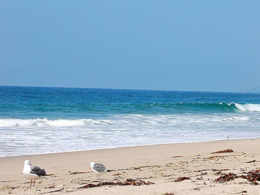 Cozy Malibu Getaway, Short Drive to Beach & Hike photo 2