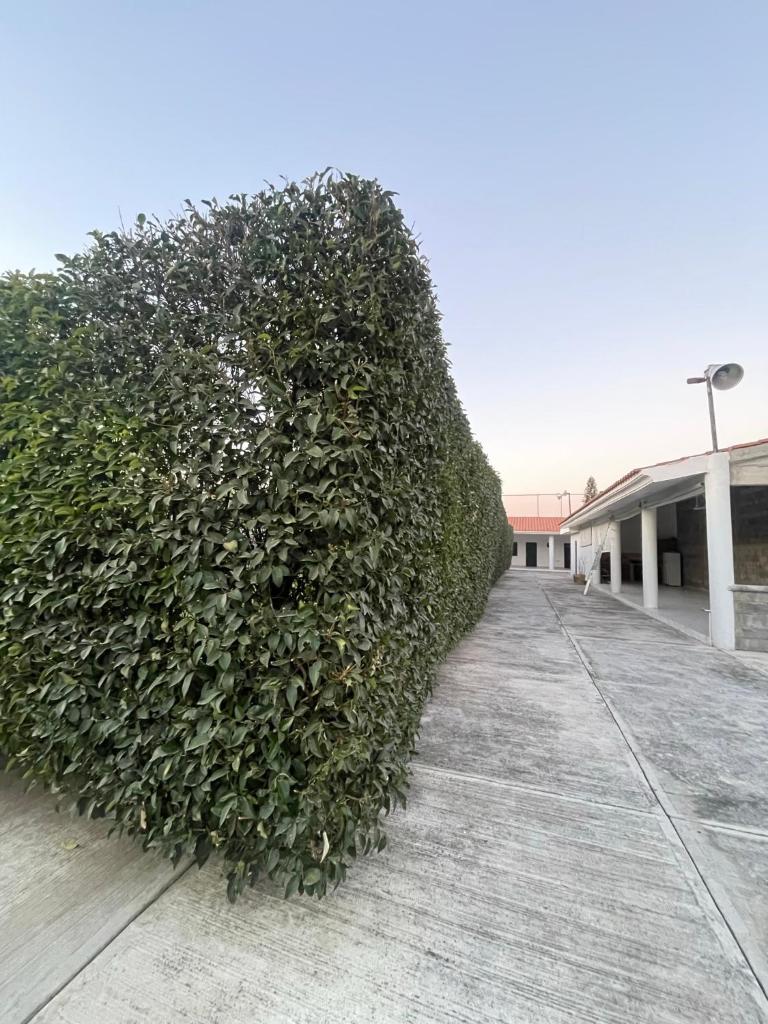 Hermosa Casa Campestre Para 12 Personas photo 1
