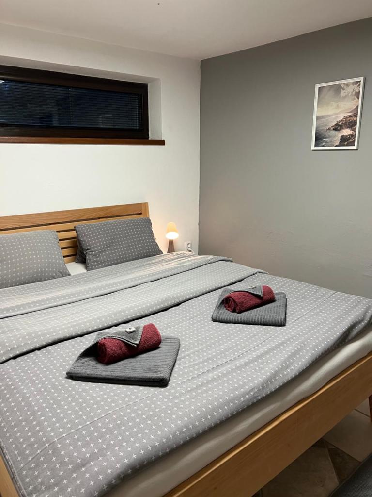 Holiday house Lipno-Slupecna photo 1