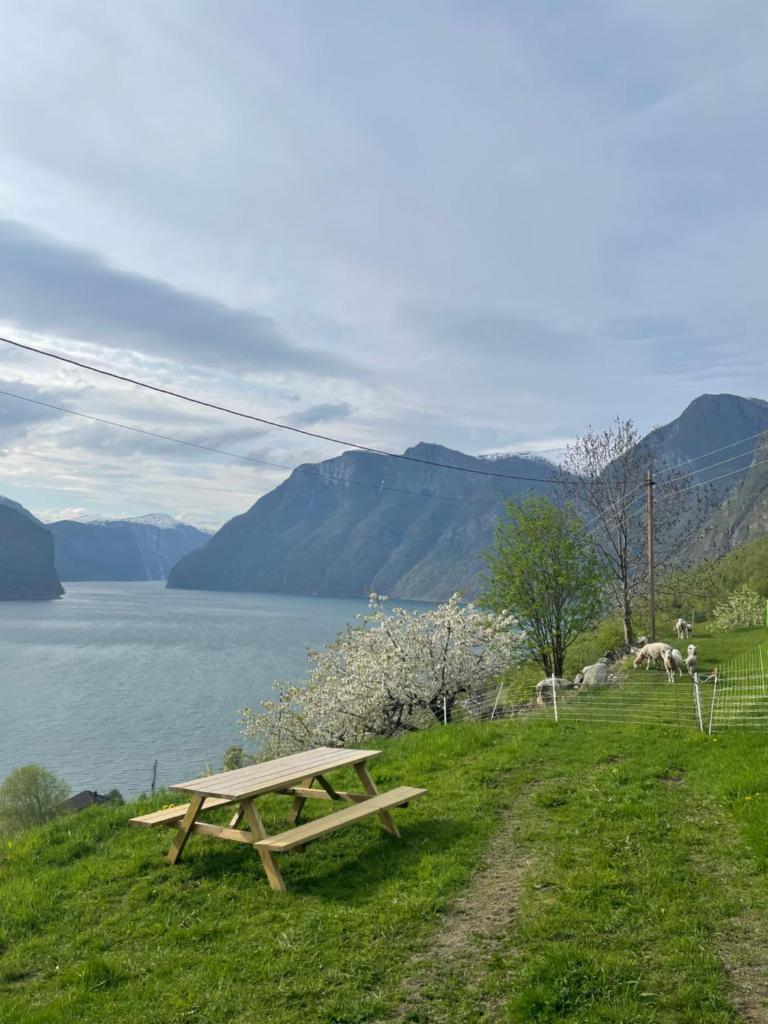 Aurland Stegastein Apartment photo 4