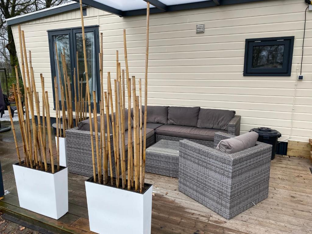 Chalet Heische Tip in Zeeland, Noord-Brabant voor max 3 volwassenen en 2 kinderen photo 3