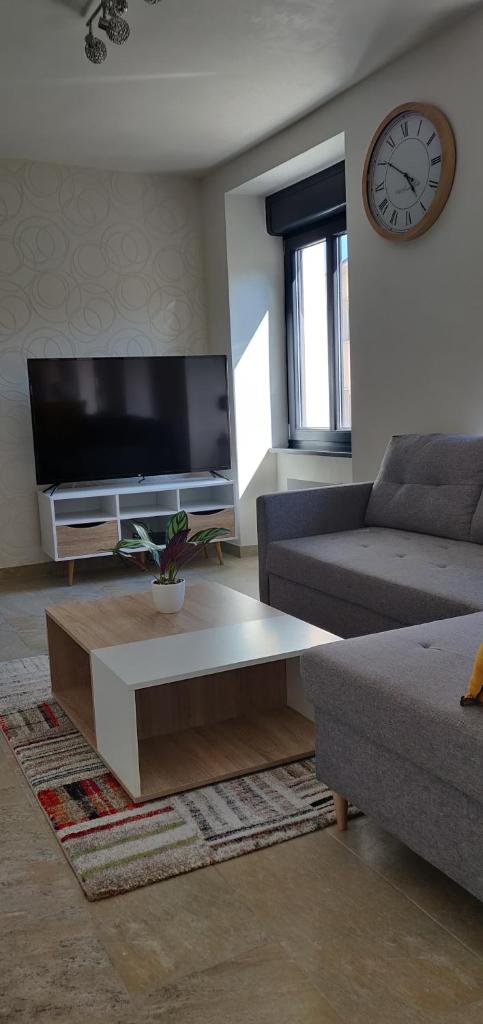 Le Cygne, appartement de standing en hyper-centre photo 1