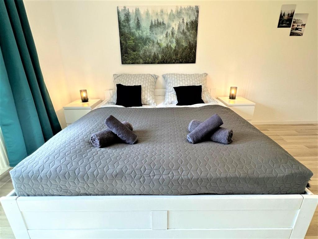 COZY Apartment in Bavarian Forest +POOL +SAUNA +NETFLIX photo 2