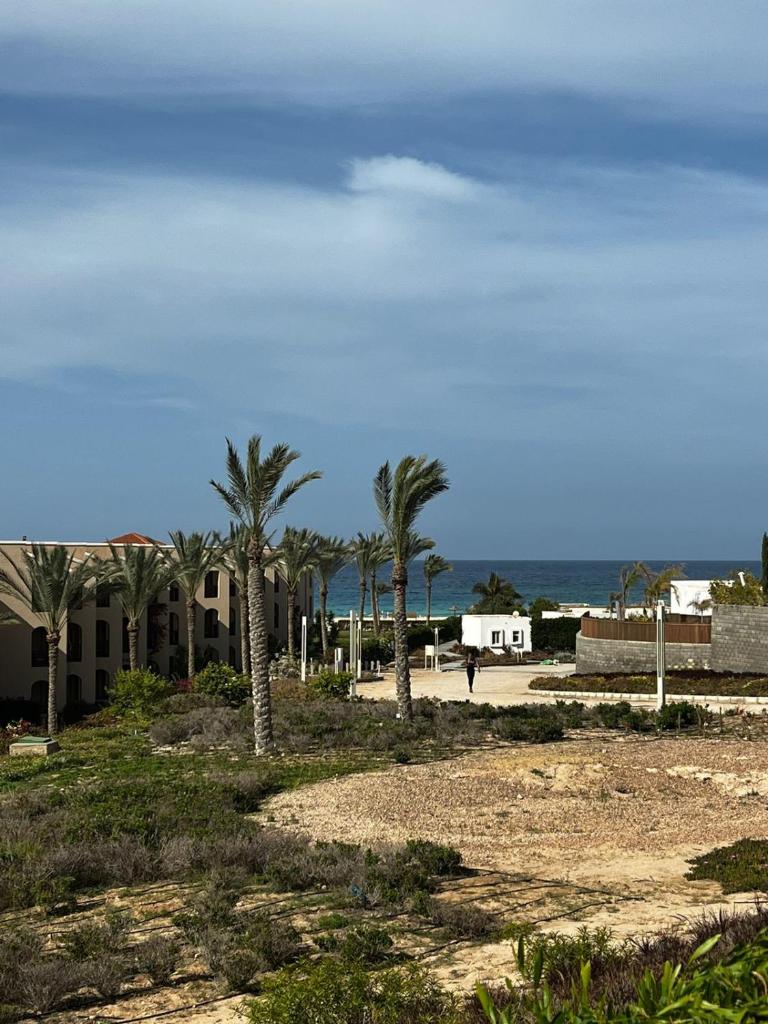 Almaza Bay Residence - 3 bedroom - ground floor photo 3