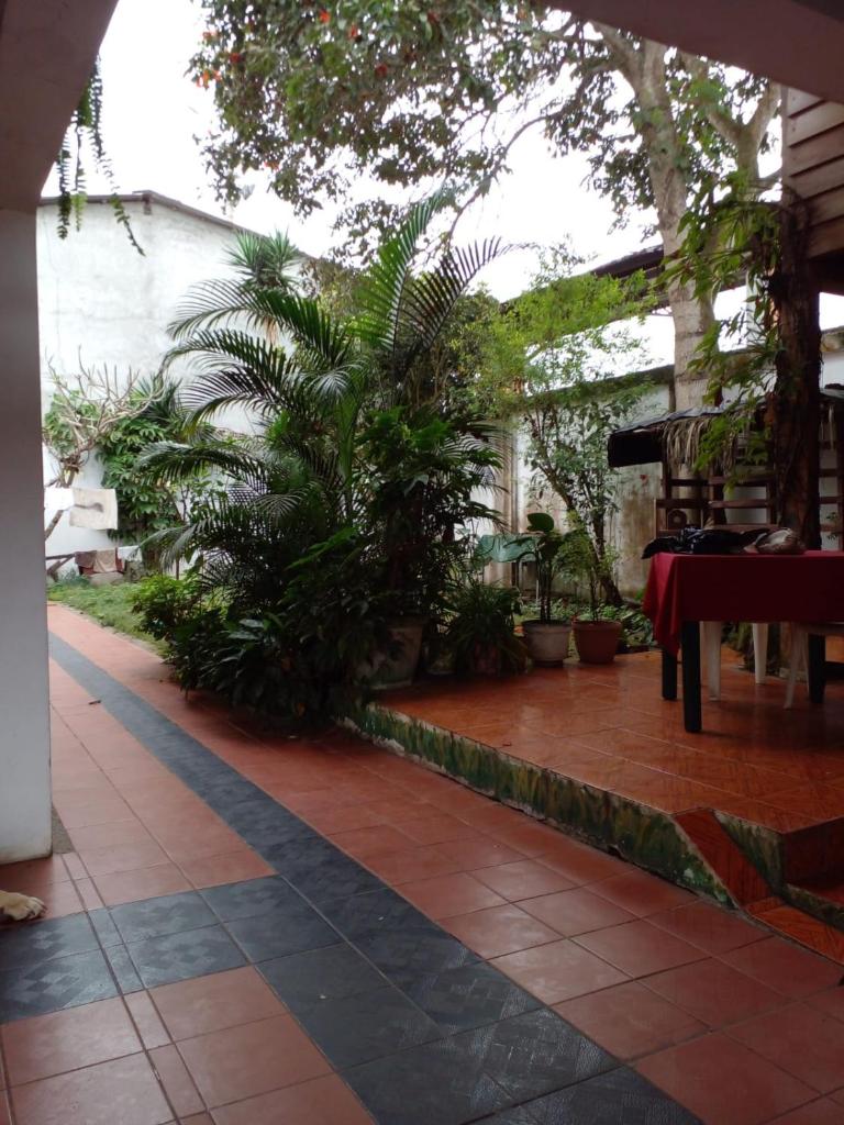 La Casa Del Arbol photo 2