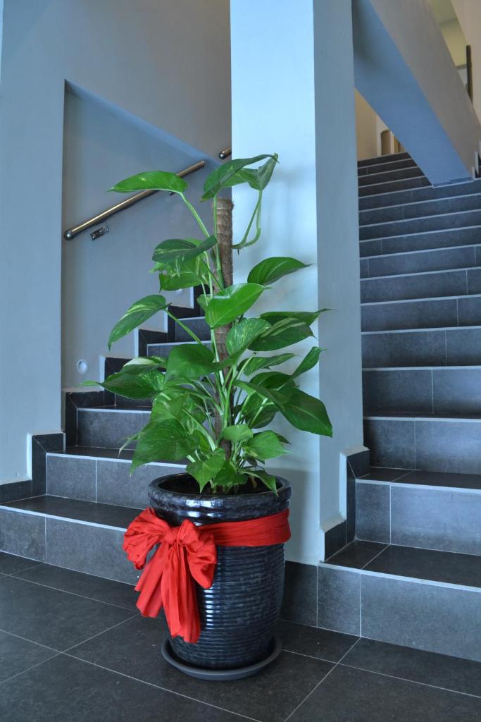 U Design Hotel Mentakab photo 2