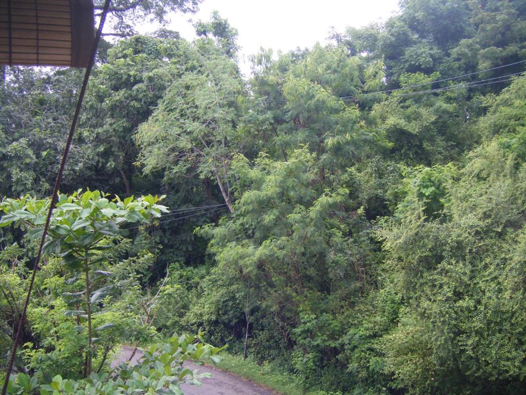 Bubu Racok Homestay photo 3