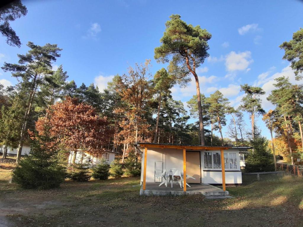 Ferienpark Seenland Betriebsgesellschaft mbH photo 1