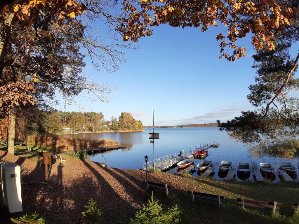 Ferienpark Seenland Betriebsgesellschaft mbH photo 4
