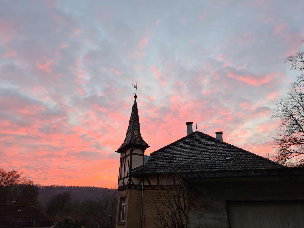 Villa in Adelsheim photo 2