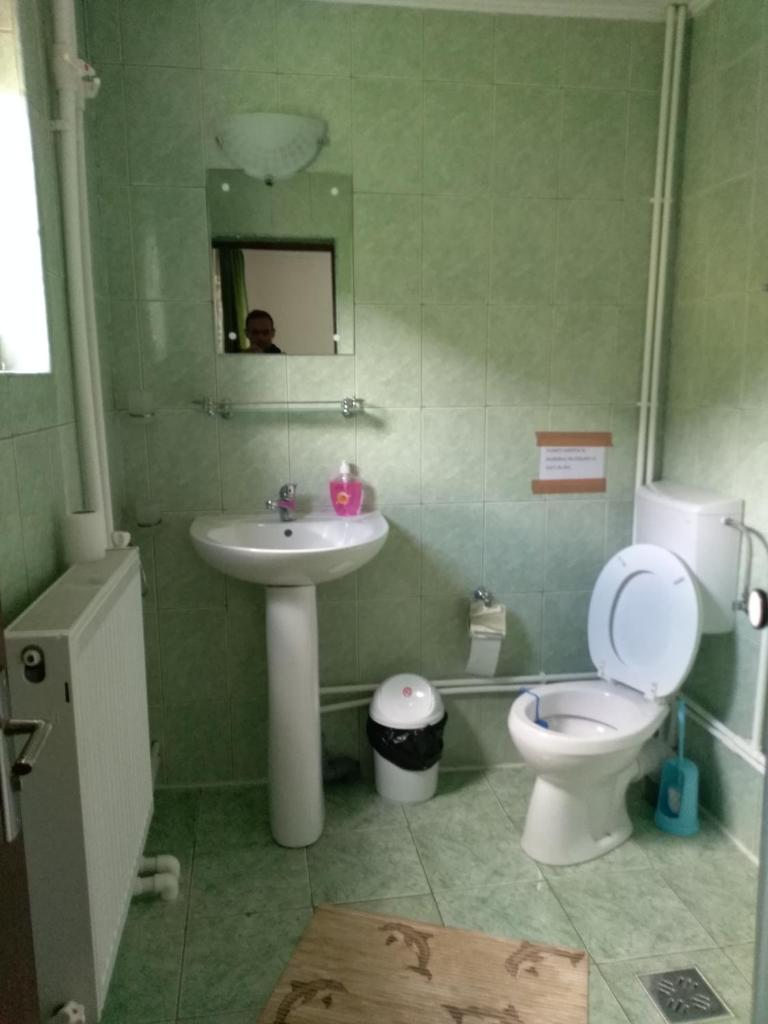 Casa Matei din Bistricioara photo 1