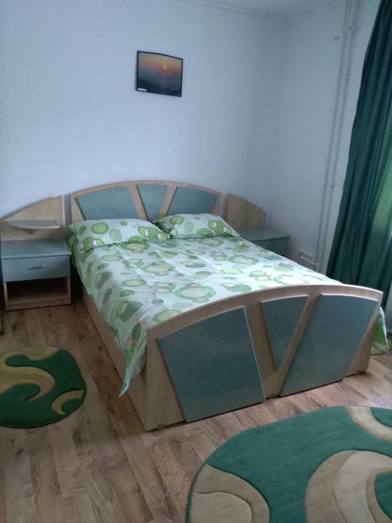 Casa Matei din Bistricioara photo 2