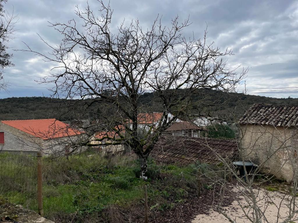 Casa Naturaleza photo 3