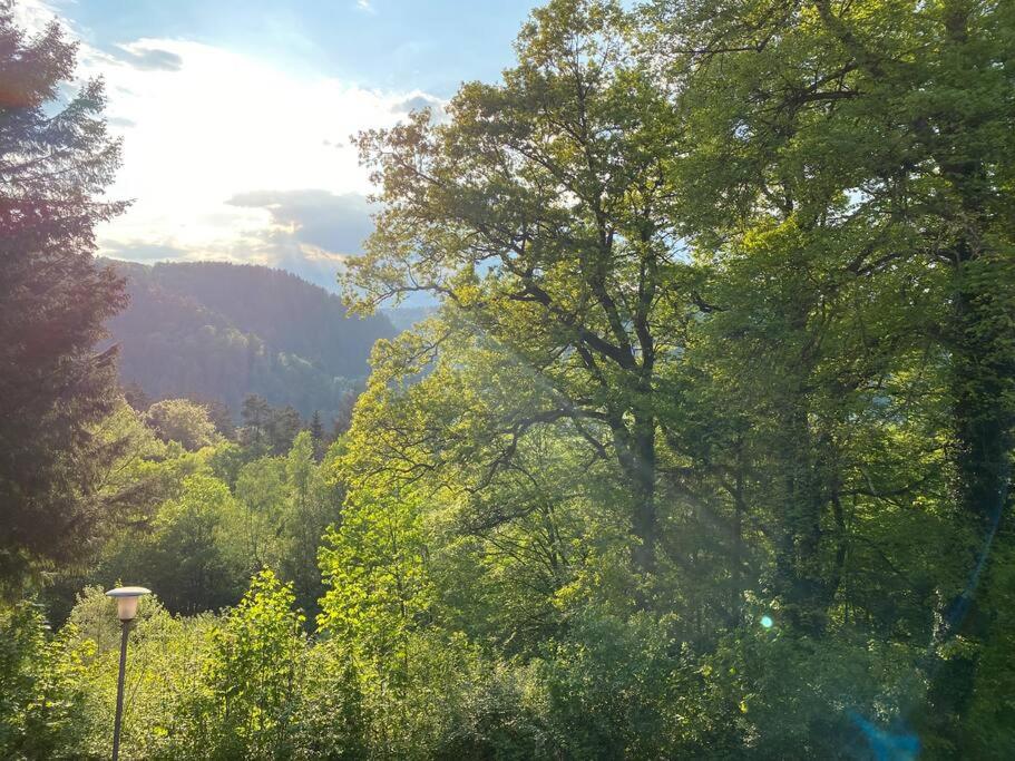 FeWo in ruhiger Aussichtslage photo 3