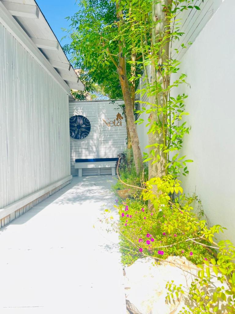 סוויטת בוטיק נטע photo 1