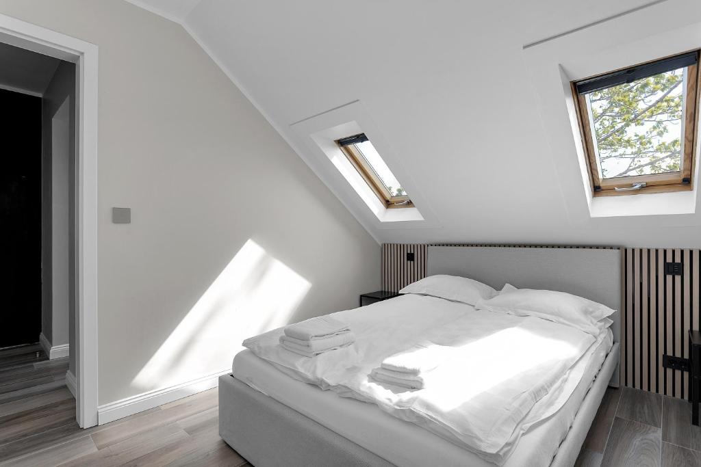 Central and Cozy Apartment photo 1