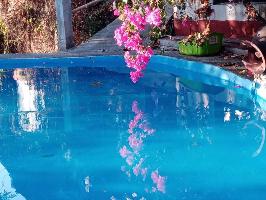 La Cabaña del Reflejo Azul photo 1