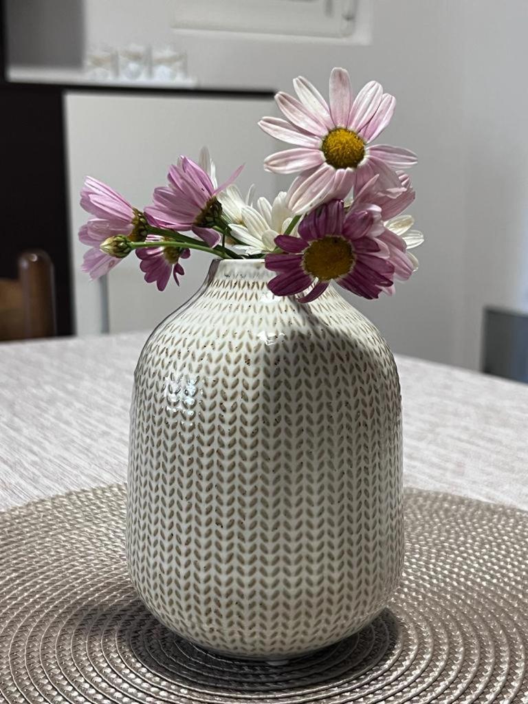 Apartman Kamenari photo 2