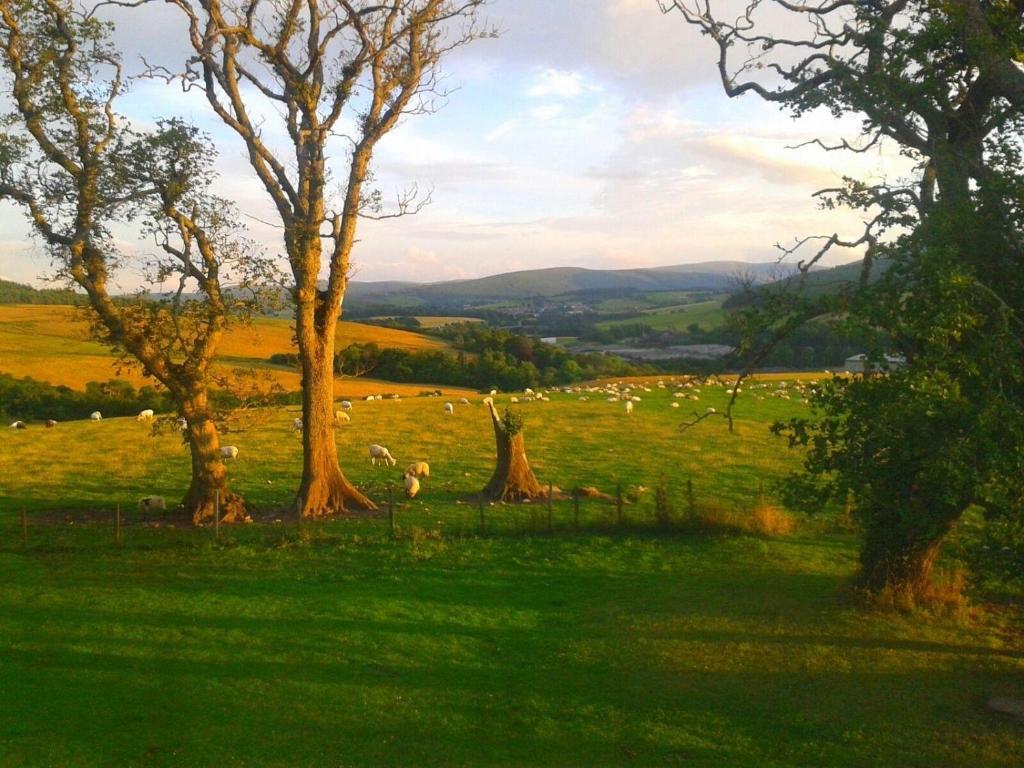 Broomhead Cottages