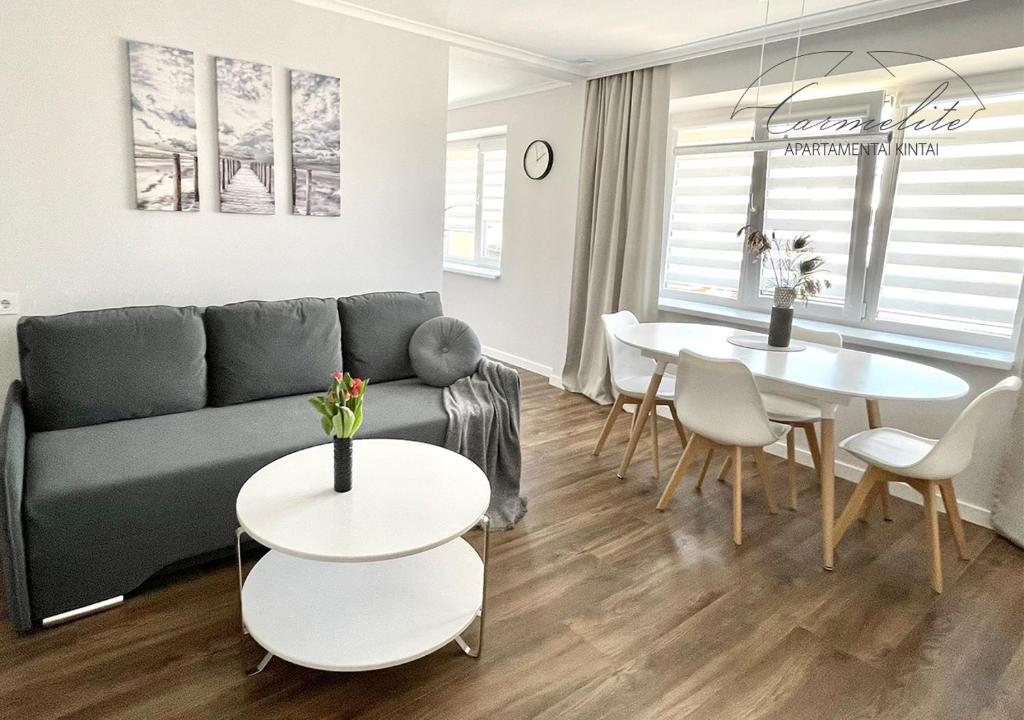 NEW Kintai Carmelite apartment photo 3
