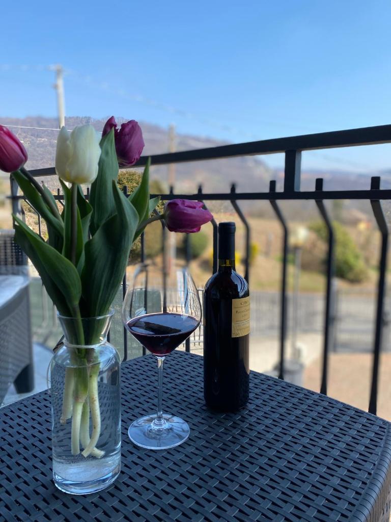 il tulipano photo 2