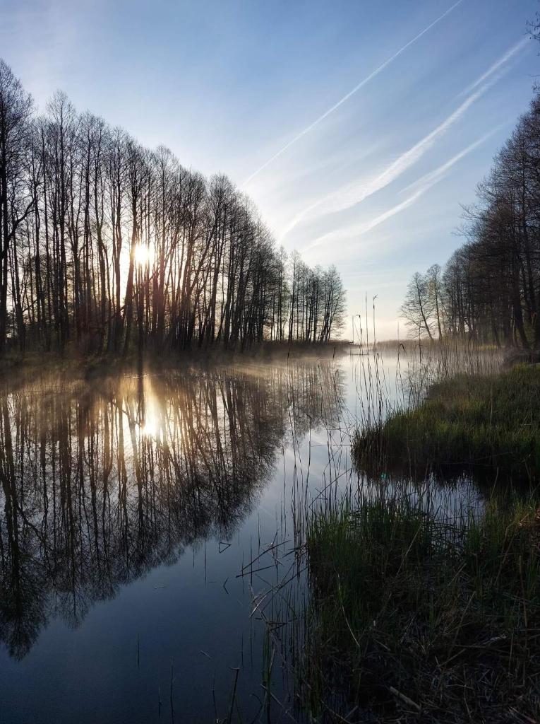 Łosiówka Domek nad Sapiną photo 2