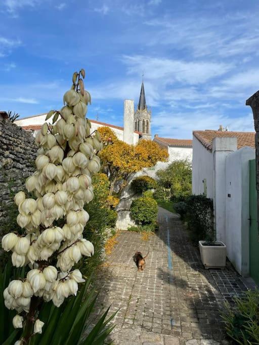 Maison de charme à la Couarde-sur-Mer photo 3