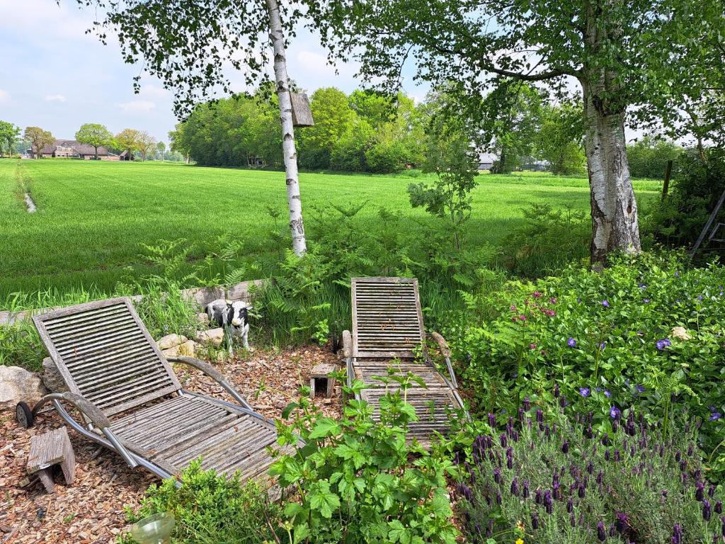 Buitenplaats Reestdal photo 3