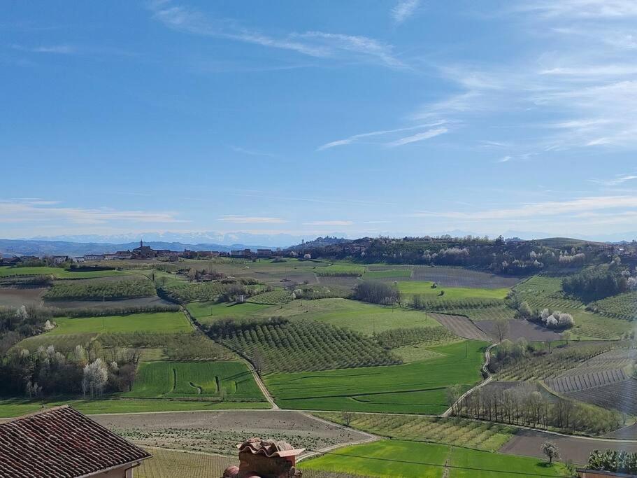 L'angolo delle rose photo 2