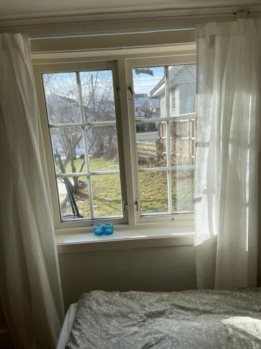 Apartament with access to garden, central, quiet and with free parking photo 2