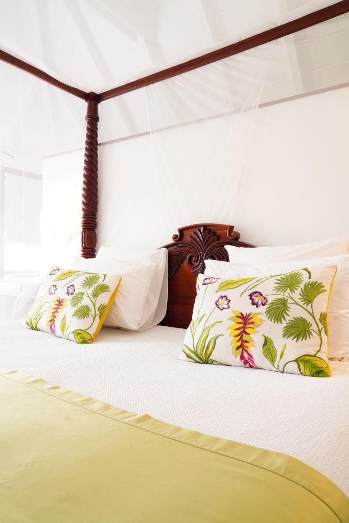 Chambre Colibri photo 1