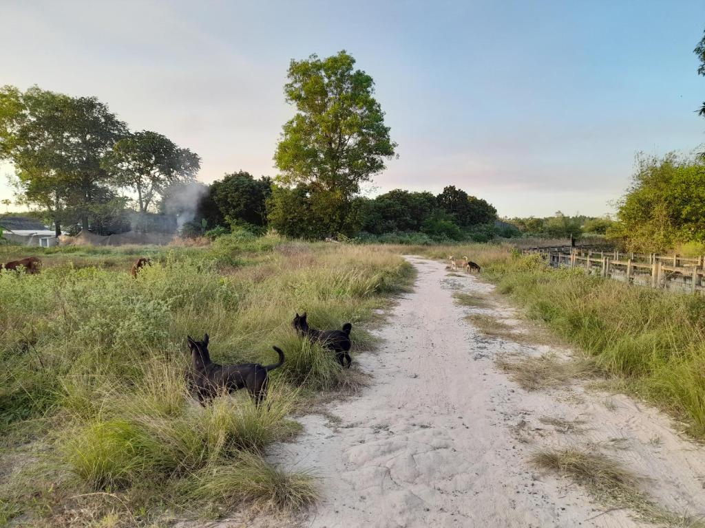 Cu Chi Boutique Farmstay