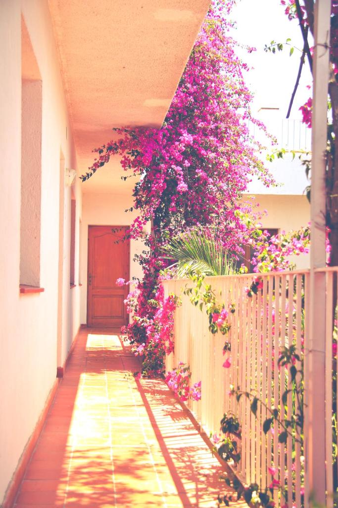 El Penell Apartament Llevant photo 1