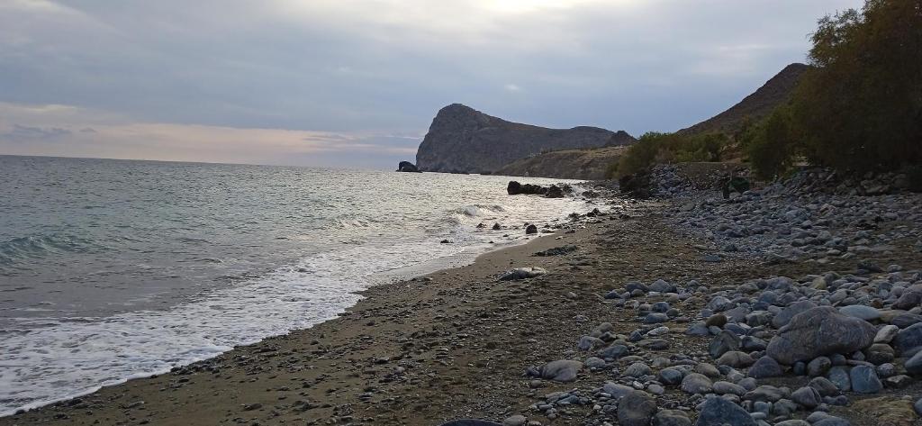 Sifis Pirounakis Anatoli photo 2