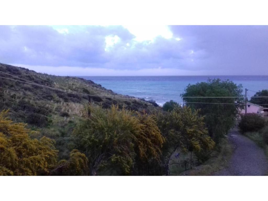 Sifis Pirounakis Anatoli photo 1