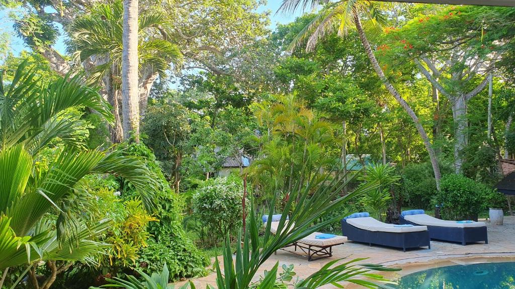 Mami Wata House photo 4
