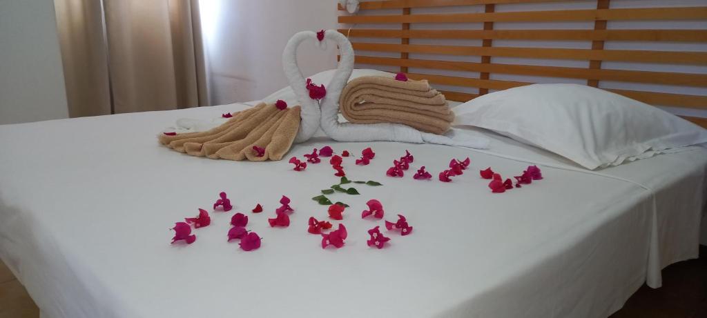 Txada Hostel photo 2