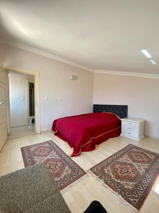 4 ROOMS SUMMER VİLLA KUNDU ANTALYA photo 1