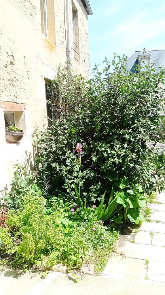Logis proche des plages du débarquement photo 4