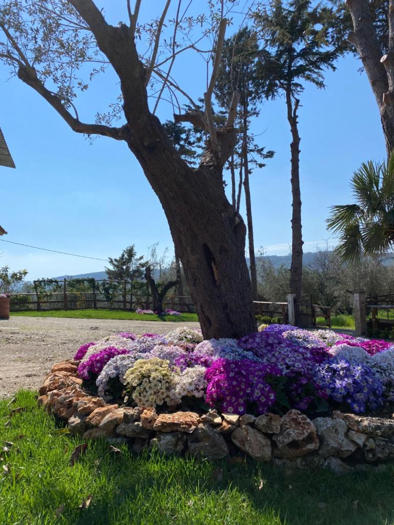 Casa Vacanza Capozzoli photo 1