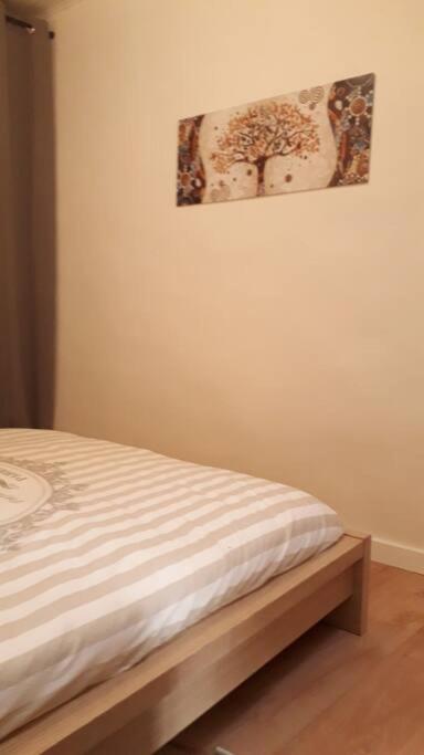 Bel appartement au coeur de la cité médiévale photo 3