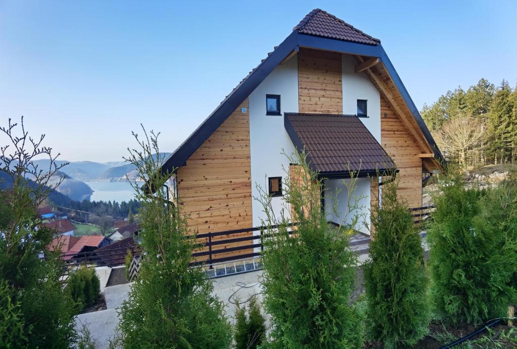 Villa Montana Zaovine photo 4
