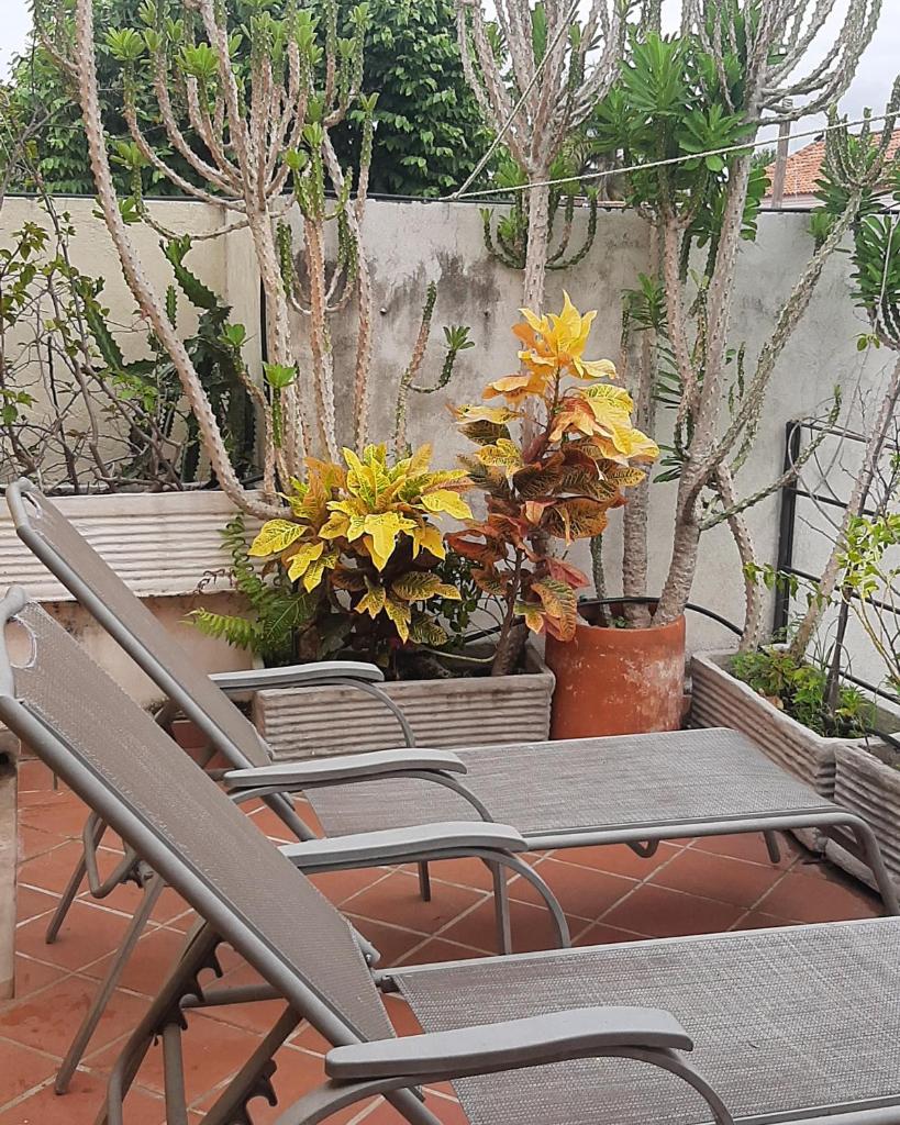 CASA LA ISLA MOMPOX photo 1
