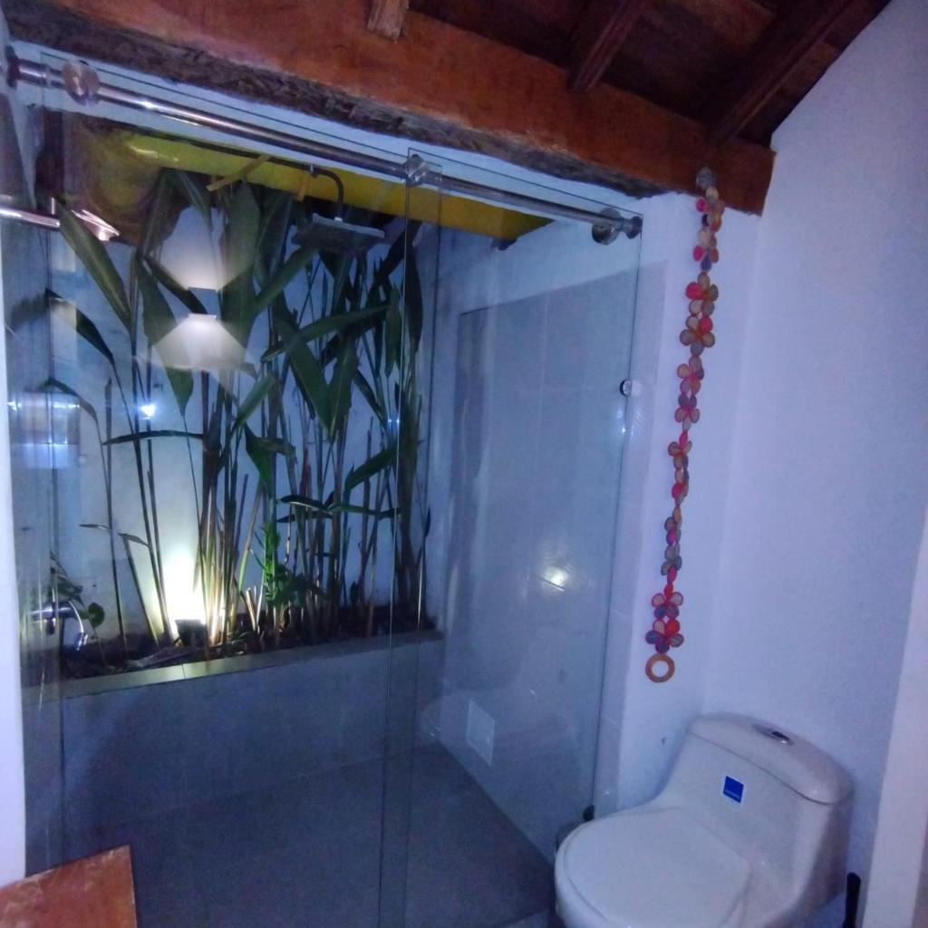 CASA LA ISLA MOMPOX photo 4