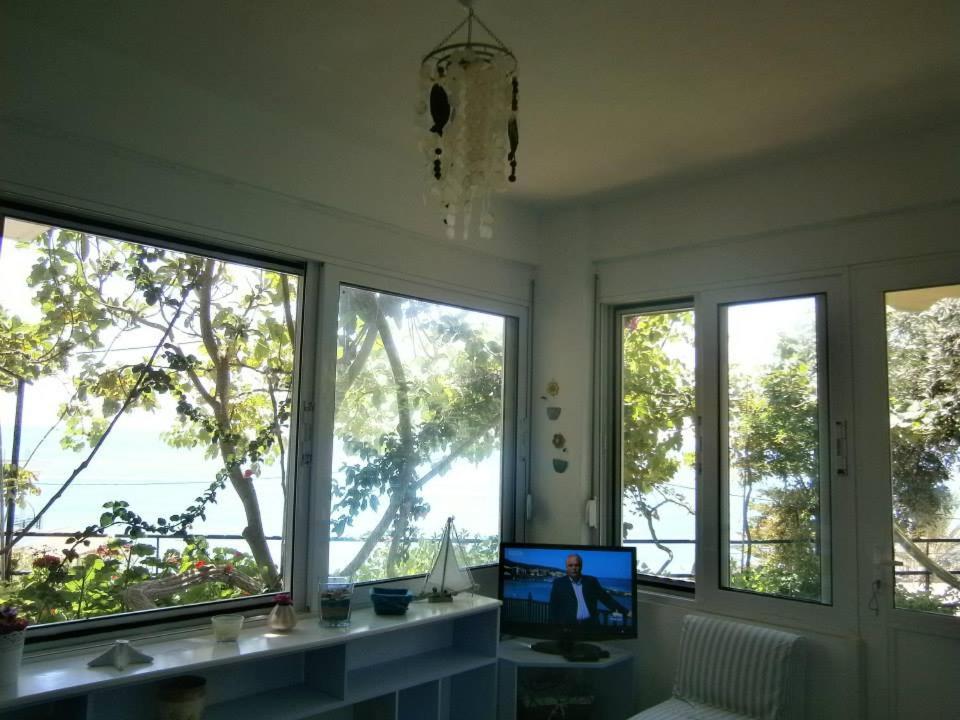 LEMONELIA photo 4