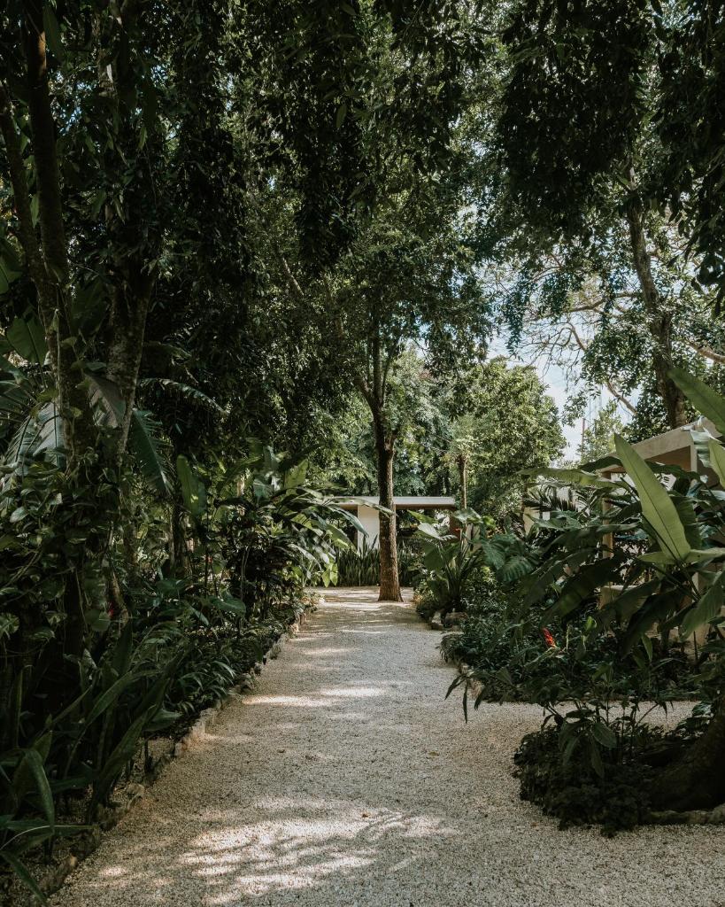 Casona los Cedros photo 4