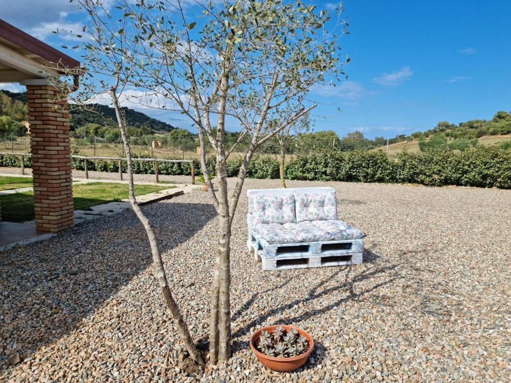 Agriturismo Sa Jana Holidays - Adults Only photo 3