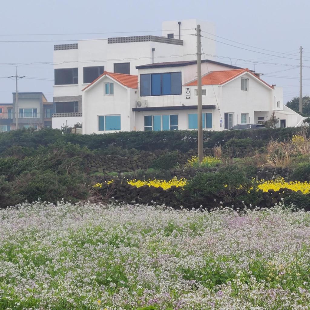 Rabit Island healing house photo 3